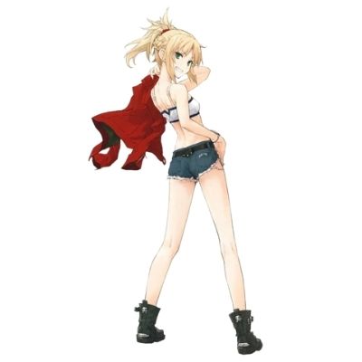 Dakimakura Mordred