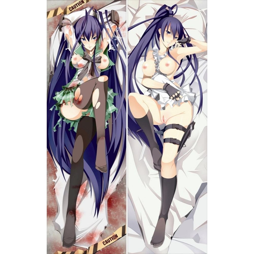 Dakimakura Saeko Busujima Hentai | WaifuParadise